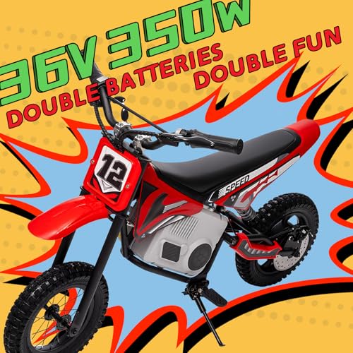 Electric Dirt Bike for Kids 8-14, 36V 350W, Off-Road Motorcycle I642