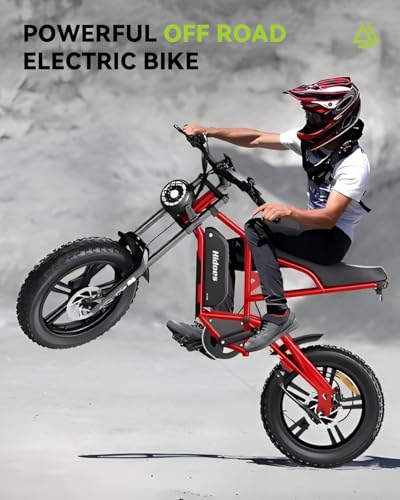 Electric Dirt Bike for Adults 20 Inch Fat Tire Off Road D47914