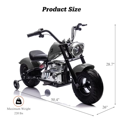 Electric Dirt Bike for Kids 14+, 360W Motor, 15.5 MPH, Gray Q330721
