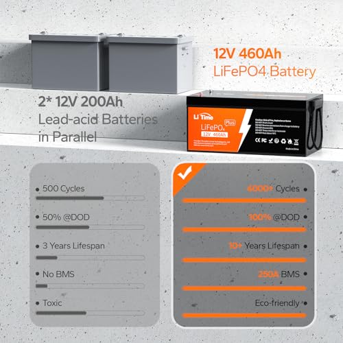 12V 100Ah LiFePO4 Battery with Built-in 100A BMS D2856
