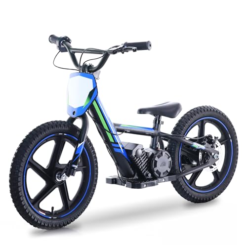 Electric Dirt Bike for Kids Aged 3-6, 170W Motor, 24V Battery, 12IN Tires J8048