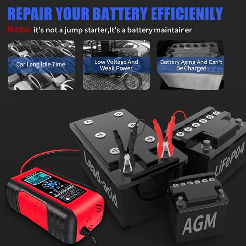10A LiFePO4 Lead Acid Car Battery Charger 12/24V Trickle Charger Maintainer R68735