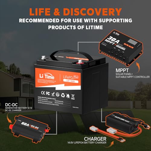 12V 100Ah LiFePO4 Battery with Built-in 100A BMS D2856