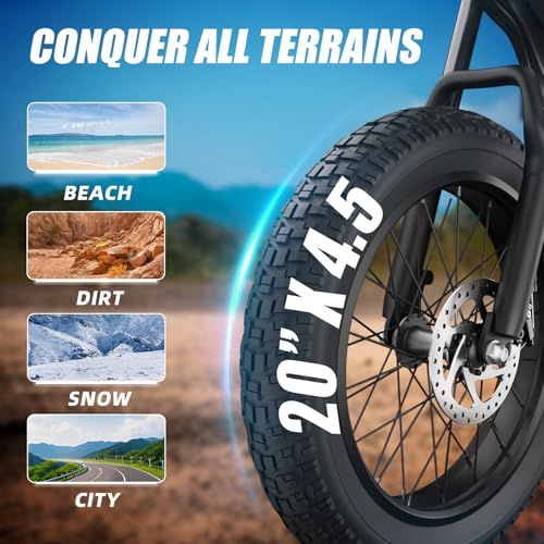 Electric Bike for Adults – 20" Fat Tire, 1200W Motor, 48V Battery, 7-Speed, Dual Disc Brakes D16418
