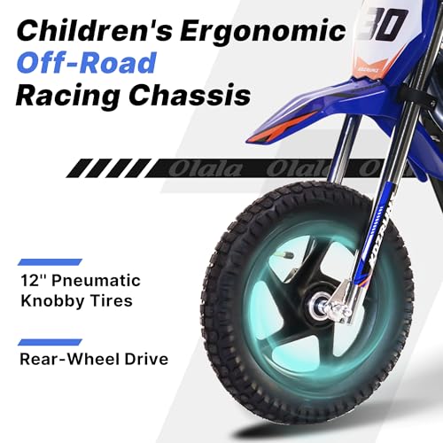 Electric Dirt Bike for Kids Aged 4-8, 350W Brushless Motor, 14'' Off-Road Tires, Blue Y255