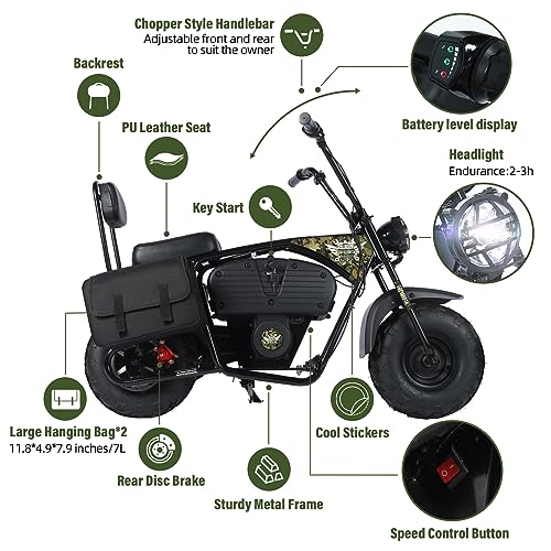 Electric Mini Bike for Kids, 36V Battery, 1000W Motor, 2 Speeds S644