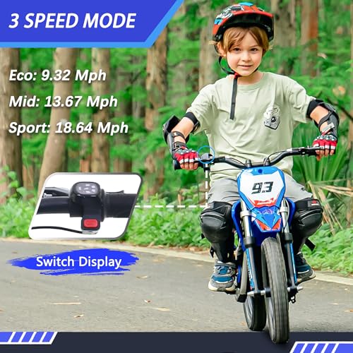 Electric Dirt Bike for Kids Aged 4-8, 350W Brushless Motor, 14'' Off-Road Tires, Blue Y255