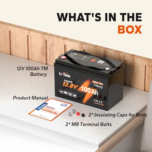12V 100Ah LiFePO4 Battery with Built-in 100A BMS D2856