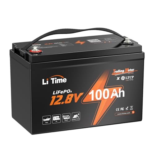 12V 100Ah LiFePO4 Battery with Built-in 100A BMS D2856