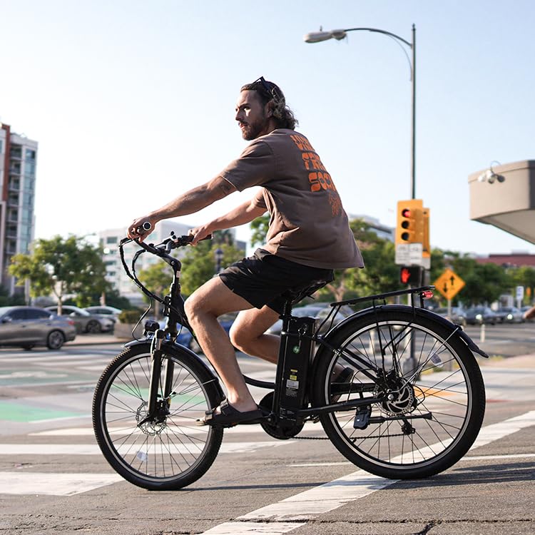 Electric Bike for Adults 750W 28mph with Removable Battery and Fat Tire W3858
