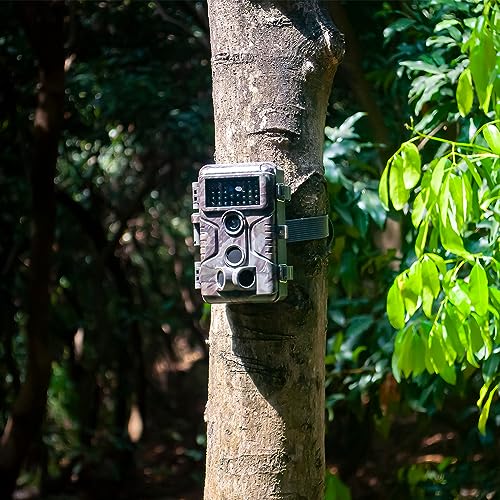 Trail Camera, 64MP 1296p, No Glow Night Vision, 100ft Range, Motion Activated Waterproof Y85186