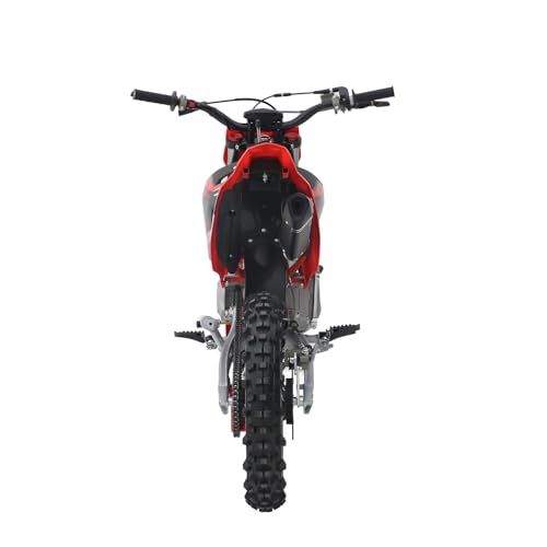 125CC Dirt Bike, 4-Speed Manual Clutch, 17"/14" Tires V202