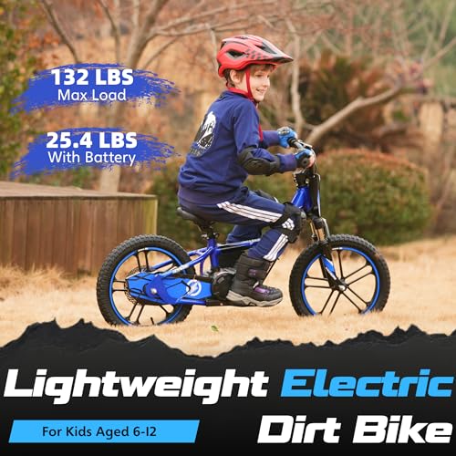 Electric Dirt Bike for Kids Aged 3-6, 170W Motor, 24V Battery, 12IN Tires J8048