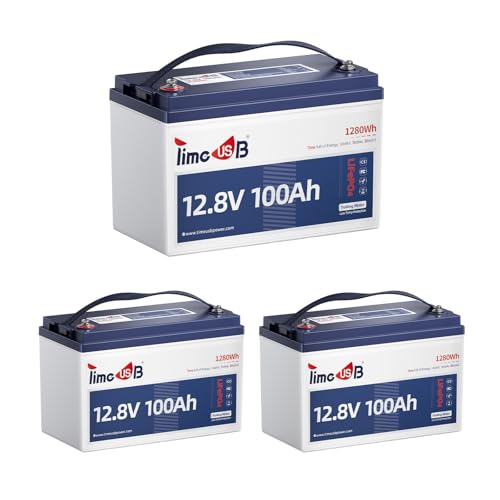 12V 100Ah LiFePO4 Marine Battery with Low-Temp Protection and 100A BMS J24276