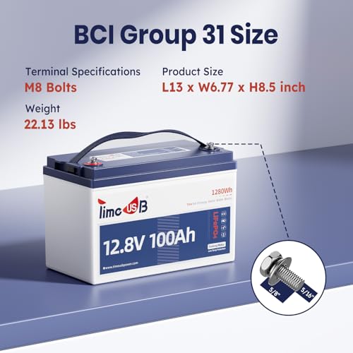 12V 100Ah LiFePO4 Marine Battery with Low-Temp Protection and 100A BMS J24276