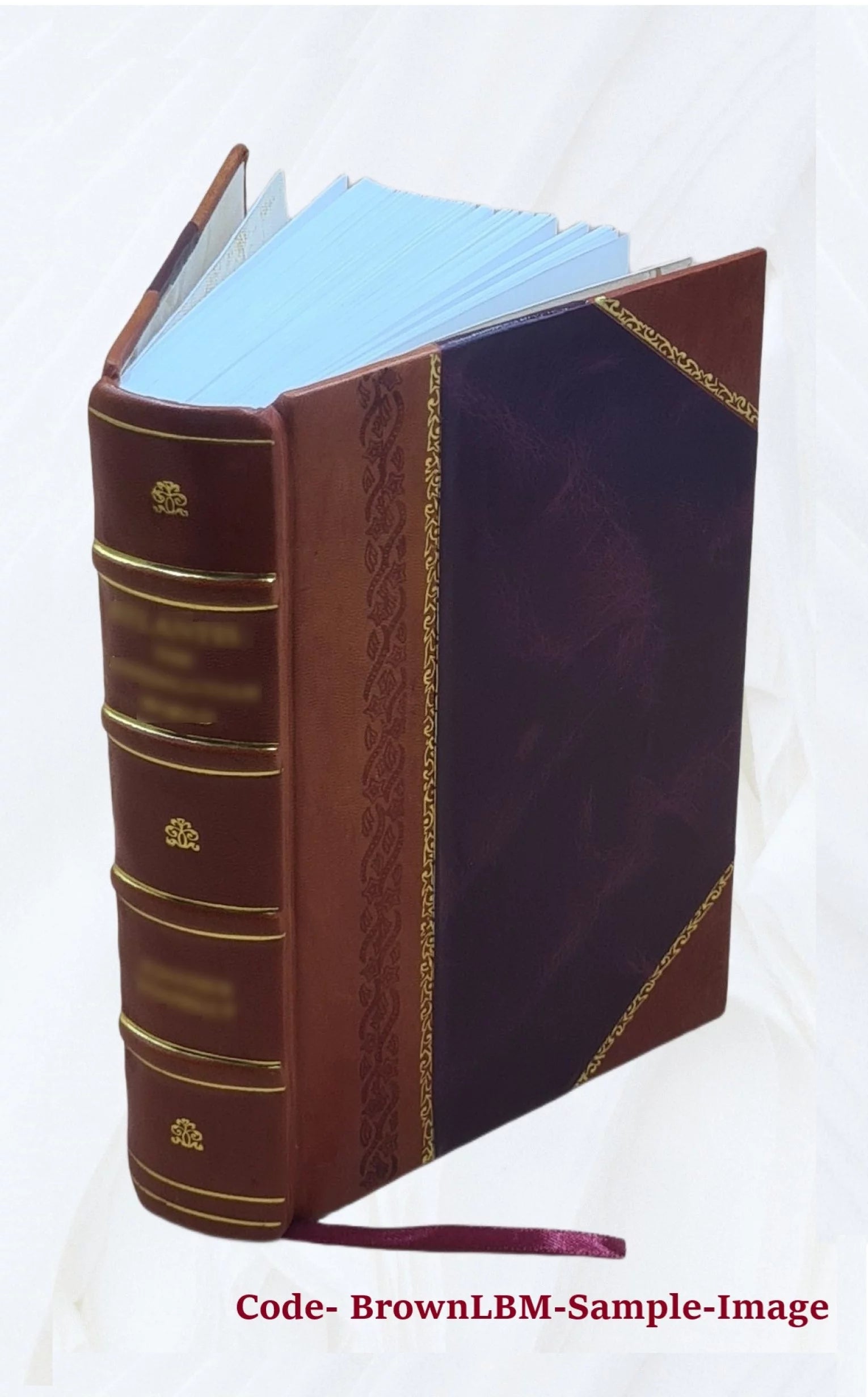 Nuevo diccionario Frances-Español y Español-Frances : con la pronunciacion figurada en ambas lenguas / por D. Vicente Salvá. 1870 [Leather Bound]