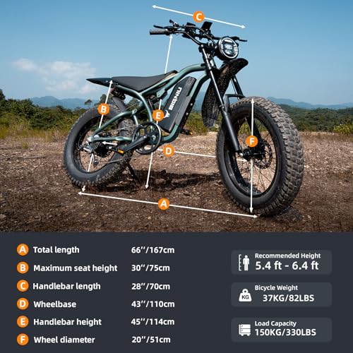 Electric Bike for Adults – 20" Fat Tire, 1200W Motor, 48V Battery, 7-Speed, Dual Disc Brakes D16418