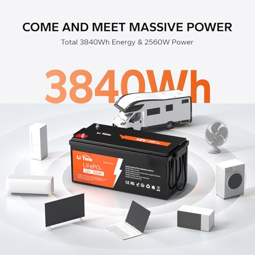 12V 100Ah LiFePO4 Battery with Built-in 100A BMS D2856