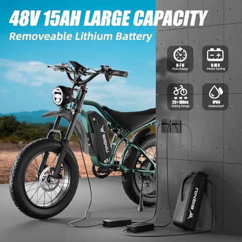 Electric Bike for Adults – 20" Fat Tire, 1200W Motor, 48V Battery, 7-Speed, Dual Disc Brakes D16418