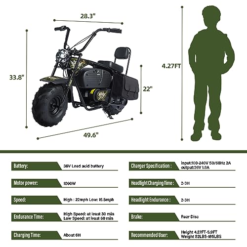 Electric Mini Bike for Kids, 36V Battery, 1000W Motor, 2 Speeds S644