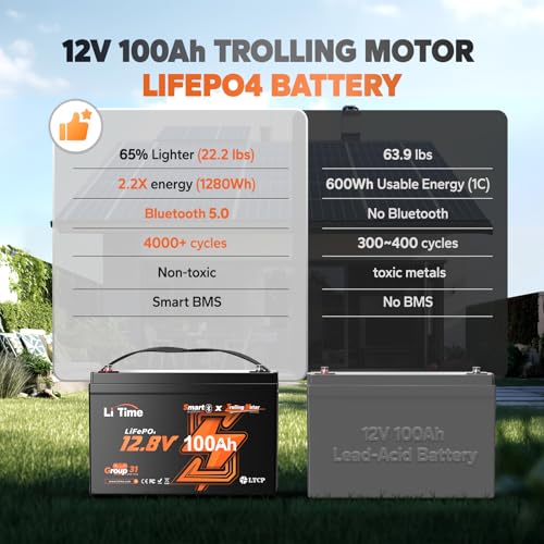 12V 100Ah LiFePO4 Battery with Built-in 100A BMS D2856