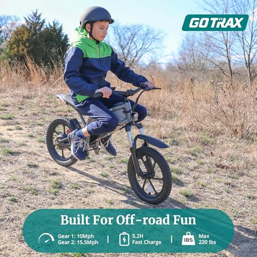 Electric Dirt Bike, 16" Pneumatic Tires, Dual Suspension & Disc Brake Y95584