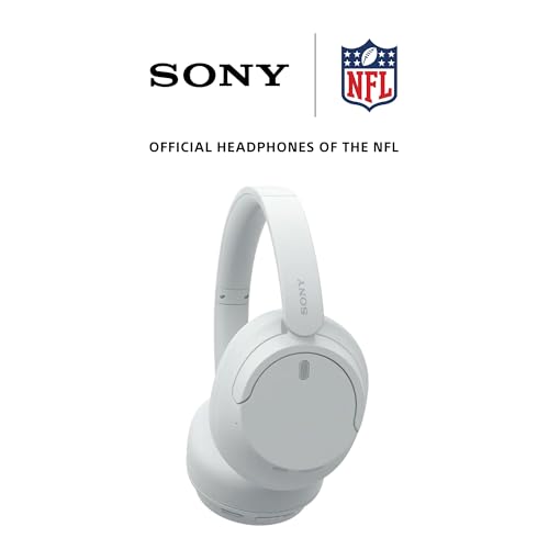 Wireless Noise Canceling Over Ear Headphones with Microphone L484