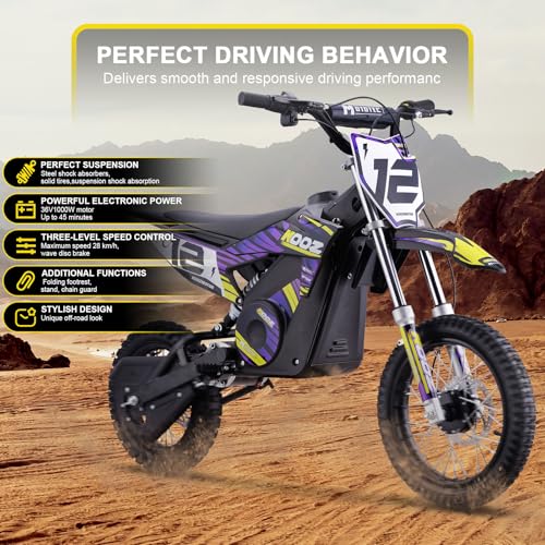 Electric Dirt Bike 36V 1000W Purple C585677