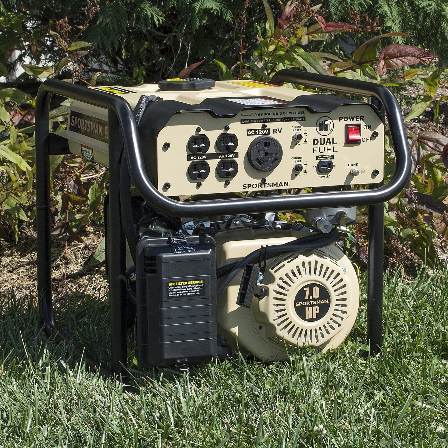 4000 Watt Dual Fuel Generator N2415