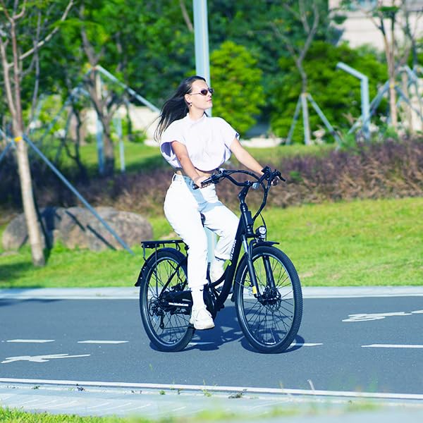 Electric Bike for Adults 750W 28mph with Removable Battery and Fat Tire W3858