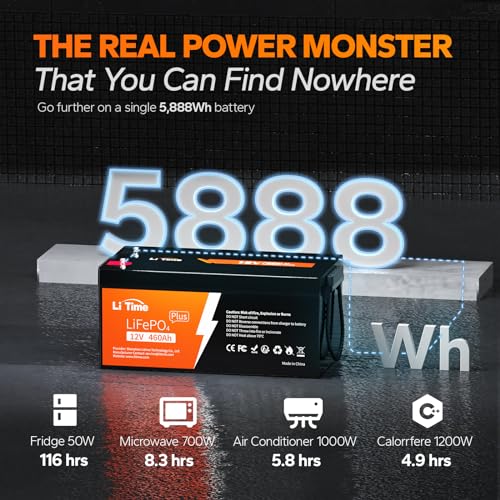 12V 100Ah LiFePO4 Battery with Built-in 100A BMS D2856