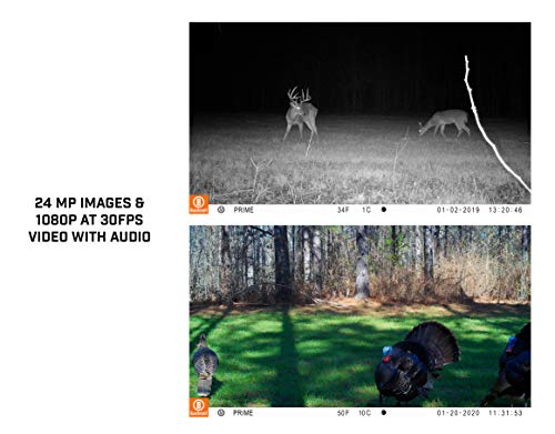 Trail Camera - 24MP, 1080p HD Video, Nighttime Capture F586