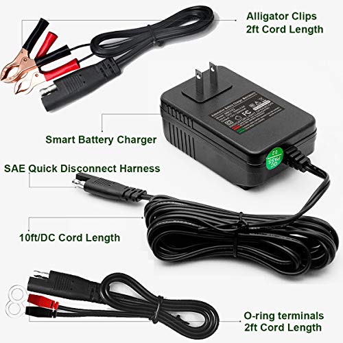 12V 2A Automatic Trickle Battery Charger Maintainer for Car Motorcycle Lawn Mower Boat ATV M415468