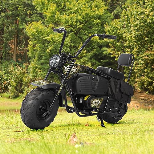 Electric Mini Bike for Kids, 36V Battery, 1000W Motor, 2 Speeds S644