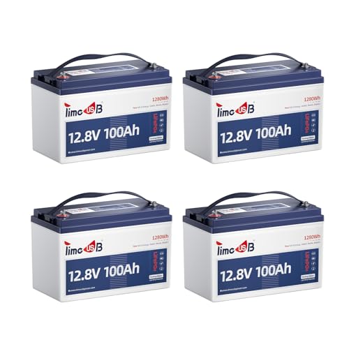 12V 100Ah LiFePO4 Marine Battery with Low-Temp Protection and 100A BMS J24276