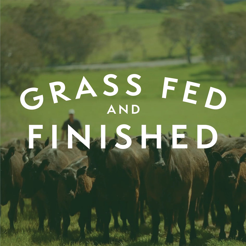 Grass Fed Ground Beef 85/15, Twelve 1lb Packages I21358