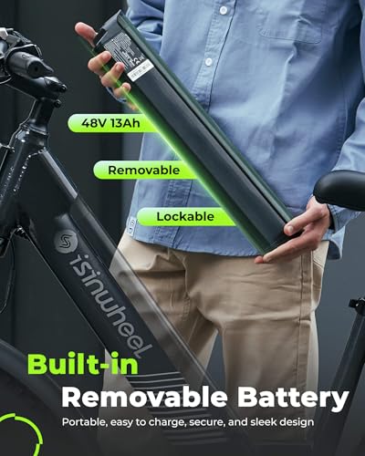 Electric Bike for Adults 750W 28mph with Removable Battery and Fat Tire W3858
