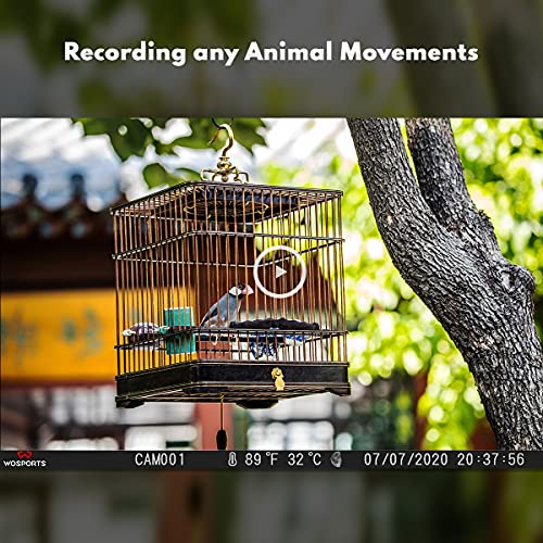 Mini Trail Camera 2 Pack 24MP 1080P HD with Night Vision Motion Activated Q760217