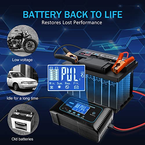20 Amp Lithium Battery Charger, 12V and 24V LiFePO4, Lead-Acid Portable Car Battery Charger A814524