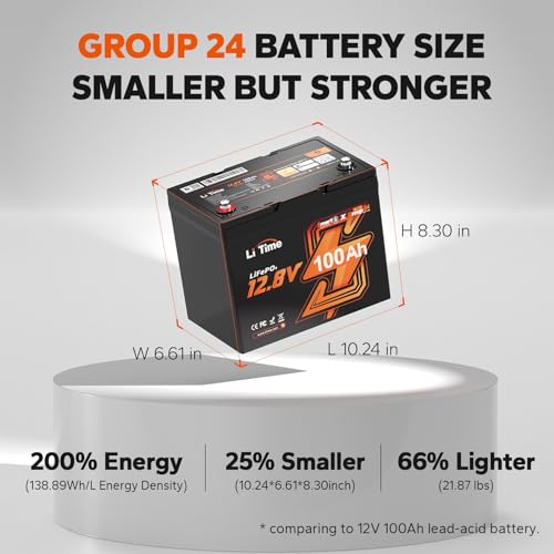12V 100Ah LiFePO4 Battery with Built-in 100A BMS D2856