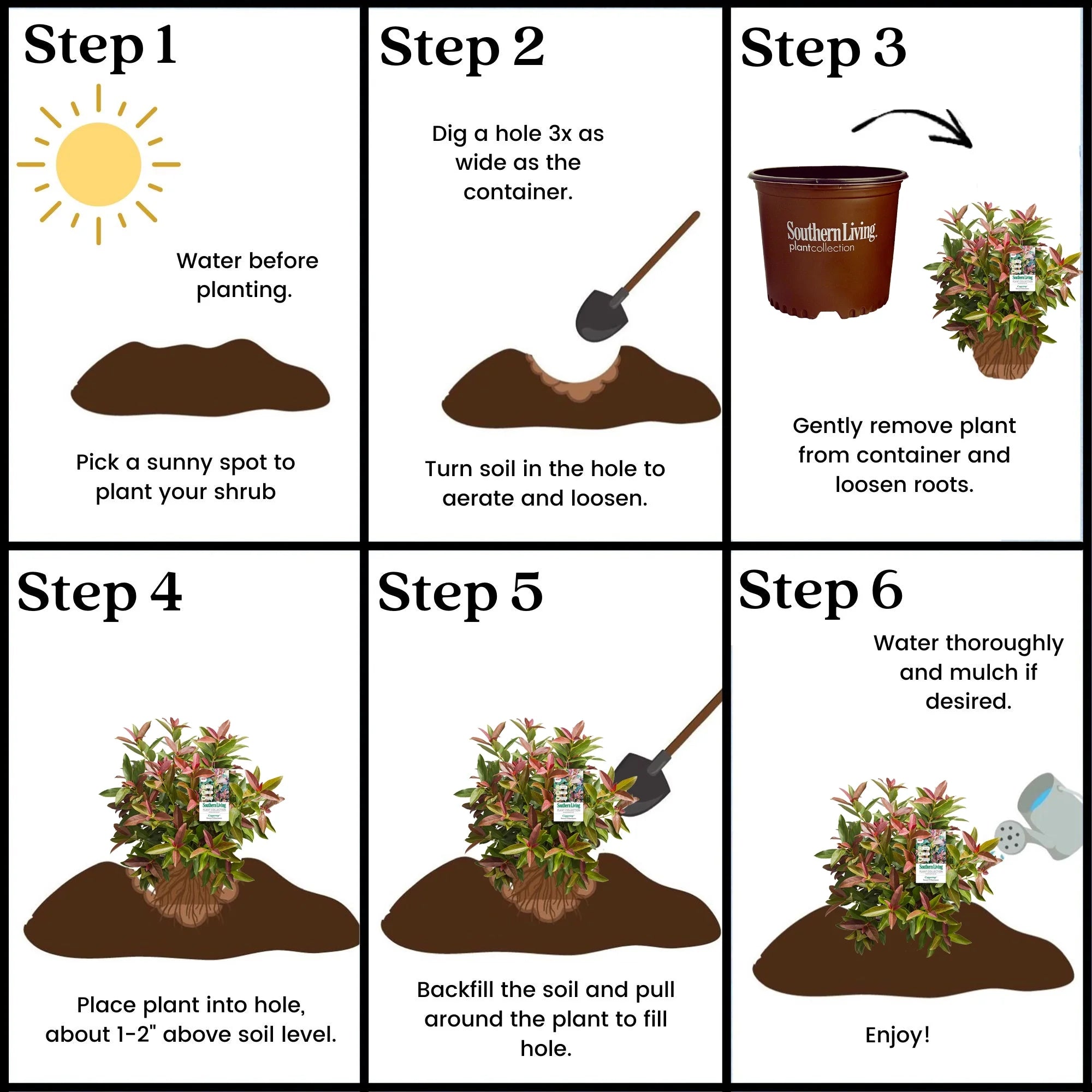 Viburnum Copper Top Live Shrub (2 Gallon) S1836