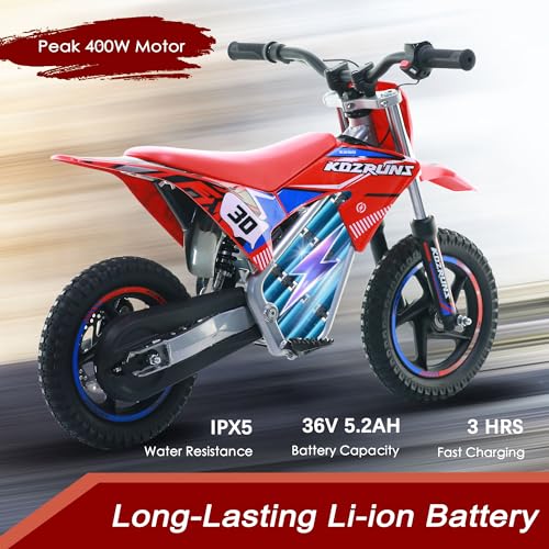 Electric Dirt Bike for Kids Aged 4-8, 350W Brushless Motor, 14'' Off-Road Tires, Blue Y255