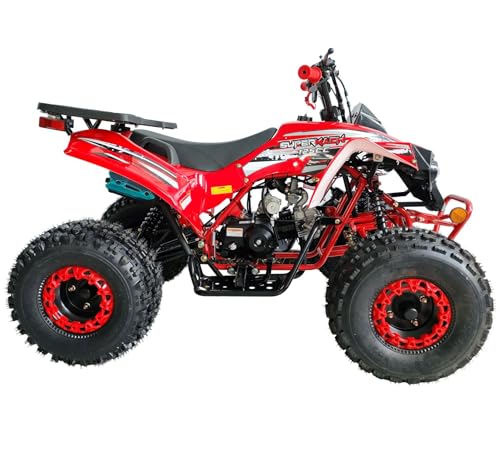 125cc ATV Fully Automatic with Reverse Double Headlights LED Gas 4 Wheeler U53754