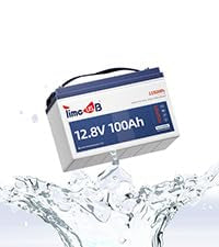 12V 100Ah LiFePO4 Marine Battery with Low-Temp Protection and 100A BMS J24276