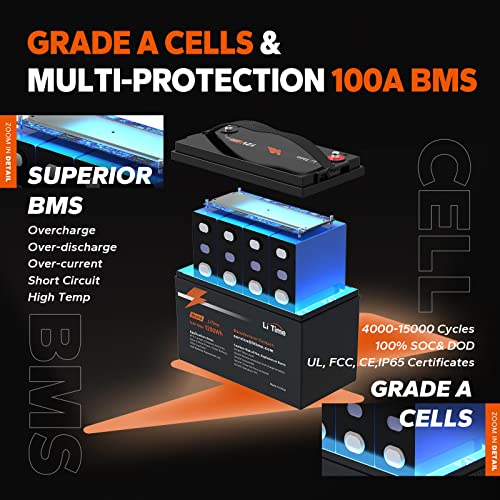 12V 100Ah LiFePO4 Battery with Built-in 100A BMS D2856