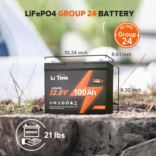 12V 100Ah LiFePO4 Battery with Built-in 100A BMS D2856