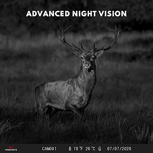 Mini Trail Camera 2 Pack 24MP 1080P HD with Night Vision Motion Activated Q760217
