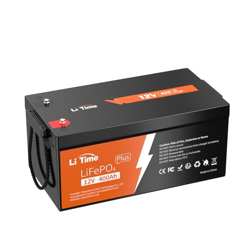 12V 100Ah LiFePO4 Battery with Built-in 100A BMS D2856
