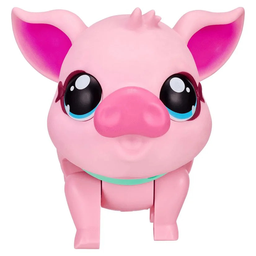 My Pet Pig K761854