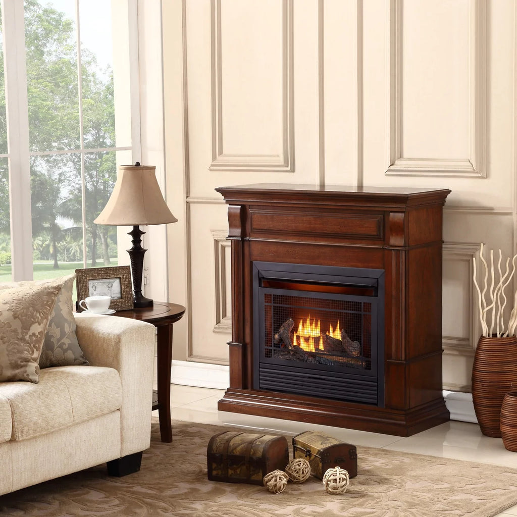 Dual Fuel Ventless Gas Fireplace with Remote Control L4694